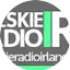 Polish Radio Ireland
