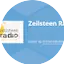 Logo Zeilsteen Radio
