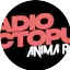 Logo Radio Octopus