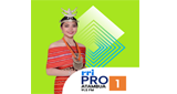 Logo RRI Pro 1 - Atambua