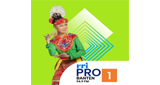 Logo RRI Pro 1 - Banten
