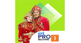 Logo RRI Pro 1 - Belitung