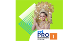 Logo RRI Pro 1 - Bukittinggi