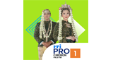 Logo RRI Pro 1 - Cirebon