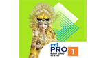 Logo RRI Pro 1 - Baubau