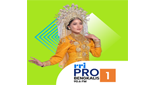 Logo RRI Pro 1 - Bengkalis