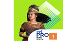 Logo RRI Pro 1 - Biak
