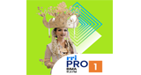 Logo RRI Pro 1 - Bima