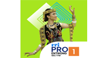 Logo RRI Pro 1 - Entikong