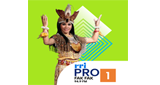 Logo RRI Pro 1 - Fak Fak
