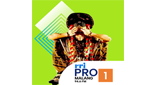 Logo RRI Pro 1 - Malang