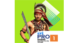 Logo RRI Pro 1 - Nabire
