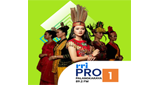 Logo RRI Pro 1 - Palangkaraya