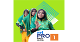 Logo RRI Pro 1 - Palu