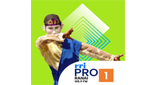 Logo RRI Pro 1 - Ranai