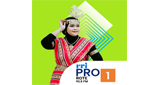 Logo RRI Pro 1 - Rote
