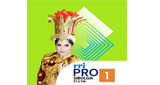 Logo RRI Pro 1 - Sibolga