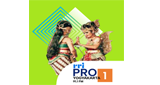 Logo RRI Pro 1 - Yogyakarta