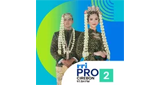 Logo RRI Pro 2 - Cirebon