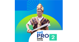 Logo RRI Pro 2 - Ende