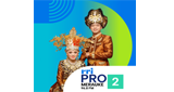 Logo RRI Pro 2 - Merauke
