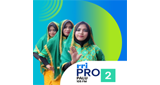 Logo RRI Pro 2 - Palu