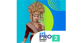 Logo RRI Pro 2 - Ranai