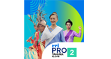 Logo RRI Pro 2 - Tahuna