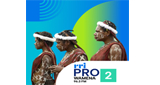 Logo RRI Pro 2 - Wamena