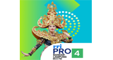 Logo RRI Pro 4 - Bandar Lampung