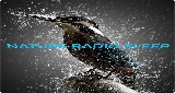 Logo Nature Radio Sleep