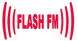 Logo Flash FM (Orig)