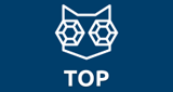 Logo Sky Plus Top