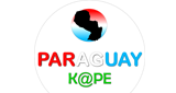 Logo Paraguay Kape
