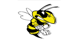 Logo Mad Wasp Radio