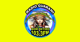 Logo Radio Guarani Fm 103.3