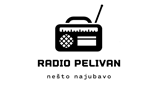 Logo Radio Pelivan