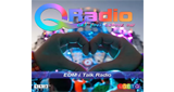 Logo 113.FM Q-Radio