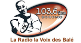 Logo Radio la Voix des Balé