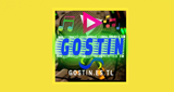 Logo Radio Gostin