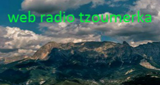 Logo Radio Tzoumerka
