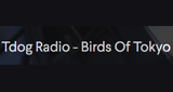 Logo Tdog.Radio - Birds Of Tokyo