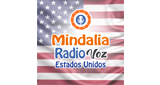 Logo Mindalia Radio Voz Estados Unidos
