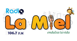 Logo Radio La Miel