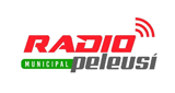 Logo Radio Municipal Peleusi