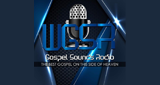 Logo WGSR