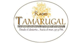 Logo Radio Tamarugal