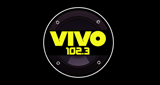 Logo Radio Vivo