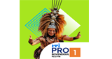 Logo RRI Pro 1 - Bovendigul