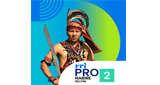 Logo RRI Pro 2 - Nabire